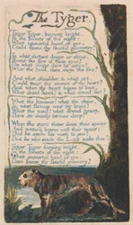 Lieder der Unschuld und der Erfahrung, Platte 42